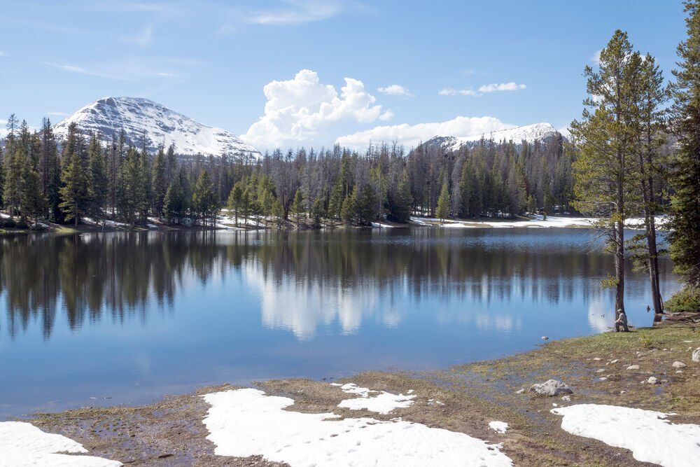 7. Uinta-Wasatch-Cache National Forest